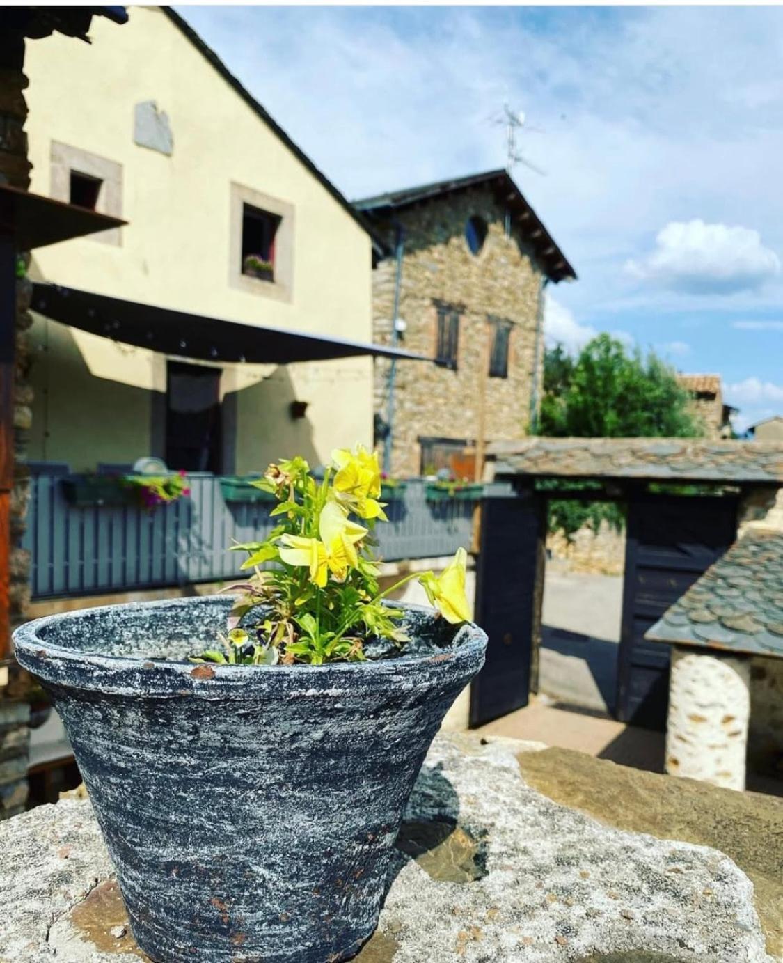 Preciosa Casa Rural Cal Felipet En Olopte-Cerdanya Exterior foto